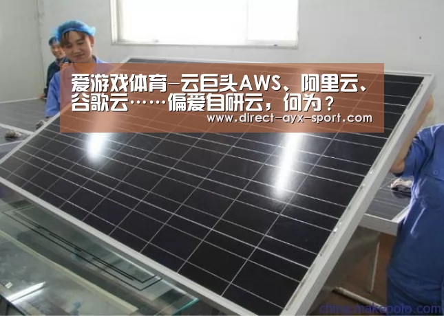 爱游戏体育-云巨头AWS、阿里云、谷歌云……偏爱自研云,何为?(图1) 爱游戏体育