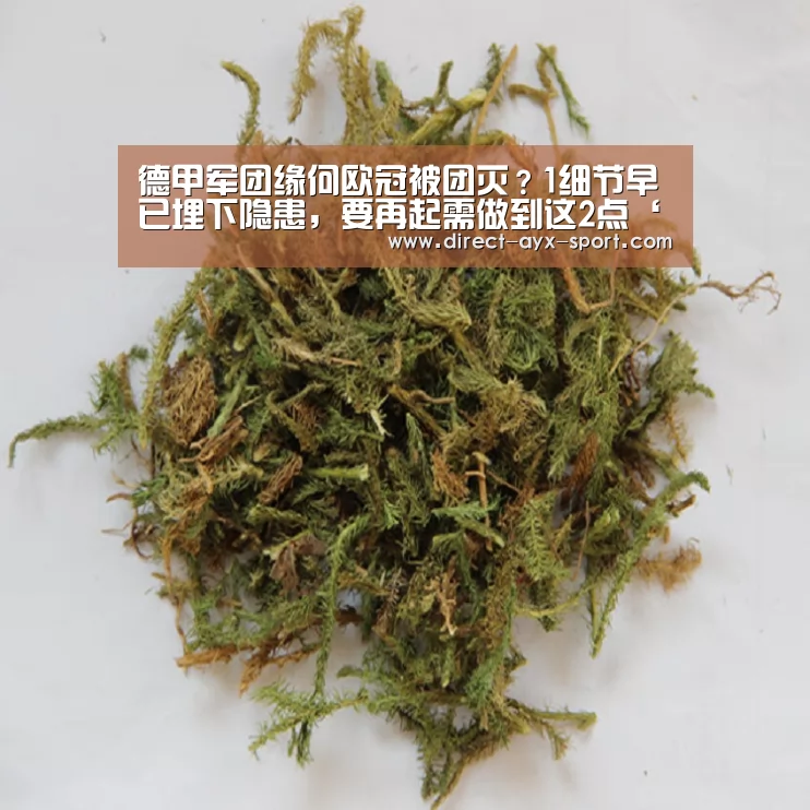 德甲军团缘何欧冠被团灭?1细节早已埋下隐患,要再起需做到这2点‘爱游戏体育’(图1) 爱游戏体育