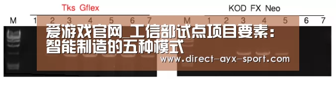 爱游戏官网_工信部试点项目要素:智能制造的五种模式(图1) 爱游戏官网