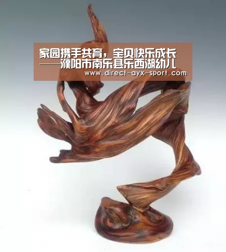 家园携手共育,宝贝快乐成长——濮阳市南乐县乐西湖幼儿园中一班家长会_爱游戏体育(图1) 爱游戏官网