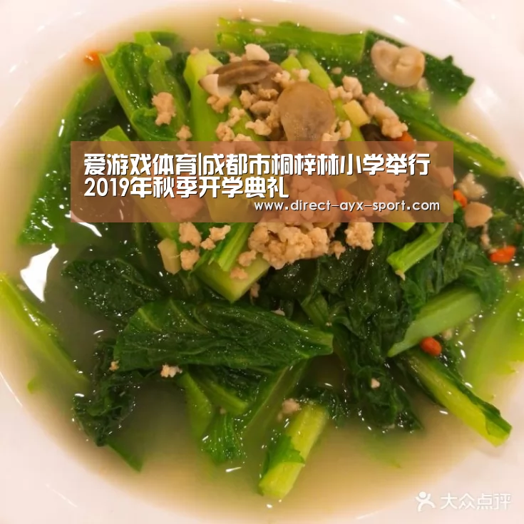 爱游戏体育